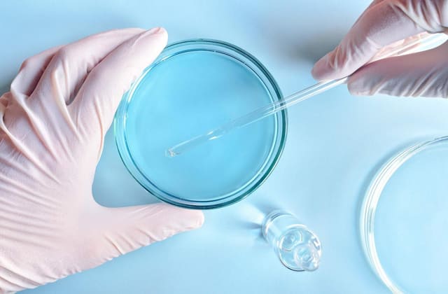 《微生物菌种鉴定技术规范》标准解读