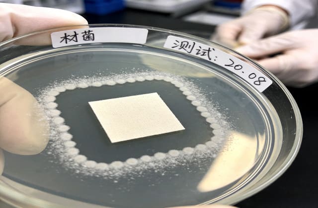 GB/T 38499-2020《抗菌剂抗菌活性的评价》标准解读