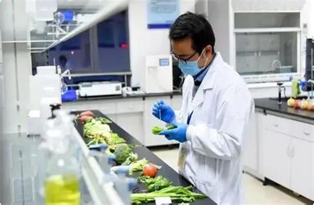 保健食品注册检验需要做哪些项目？