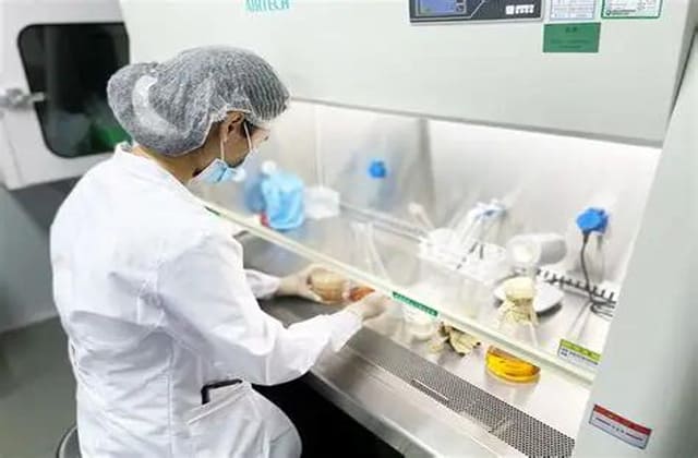 《化妆品注册备案检验工作规范》技术要求详解