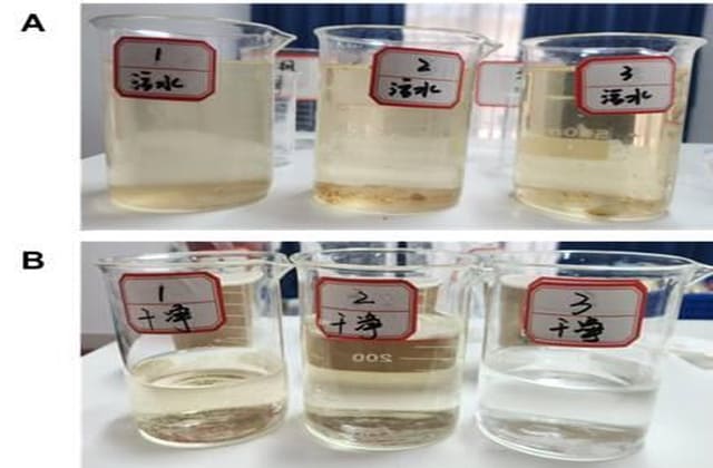 水消毒总体性能试验检测