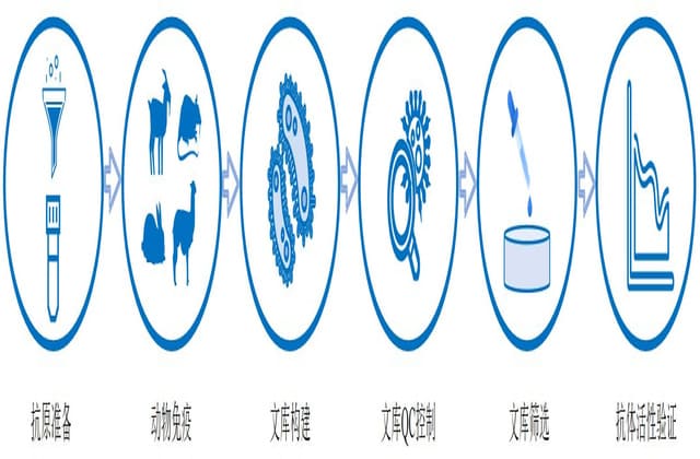 噬菌体平台服务定制