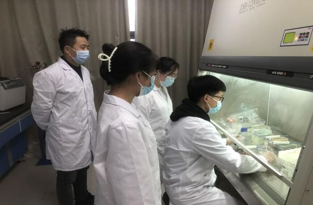 高校科研