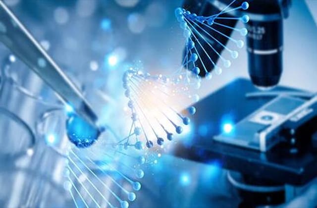 分子量检测