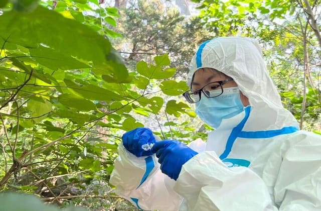 动植物研发