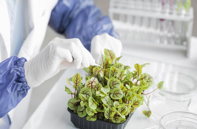 《植物激素检测技术规范》标准解读