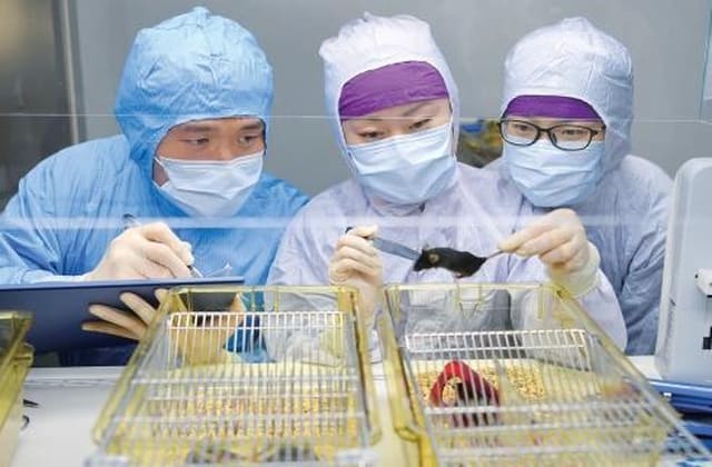 《实验动物管理条例》动物建模技术要求解读