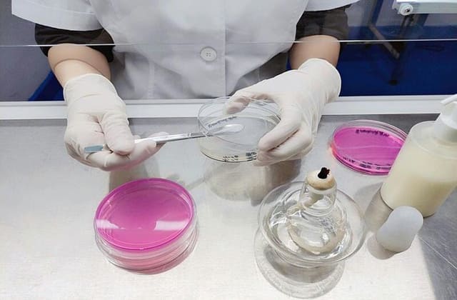 微生物杀灭效果检测