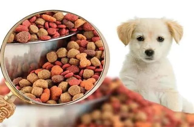 宠物食品企业检测案例