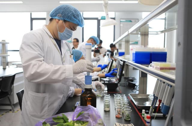 保健食品注册检验