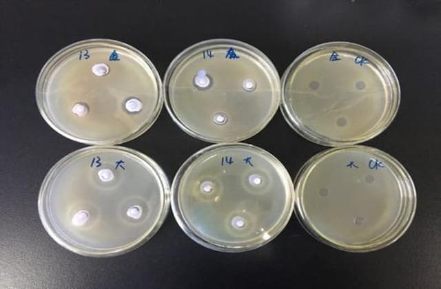 GB/T 20944系列《纺织品抗菌性能评价》标准解读