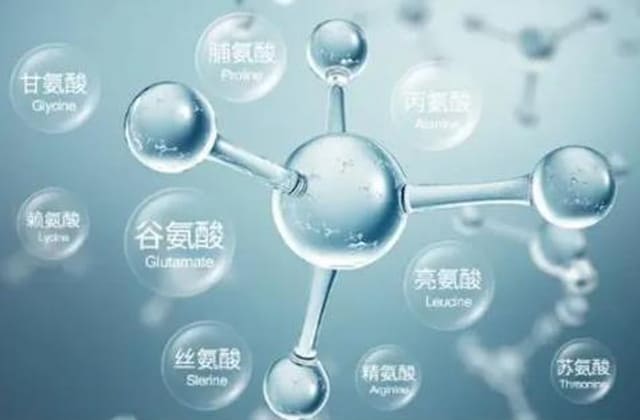 氨基酸检测