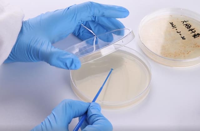 抗抑菌洗涤用品检测