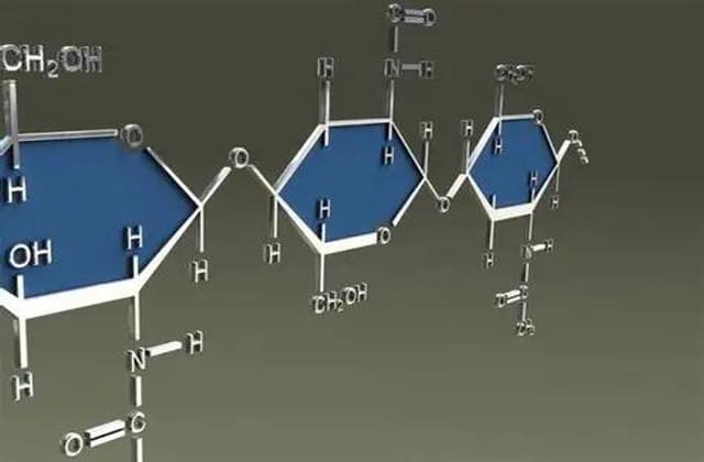 多糖结构分析