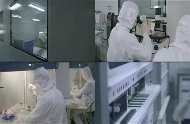 现场试验、模拟现场试验检测