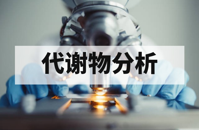 LC-MS 液质联用测试服务｜定性定量、未知物及代谢物分析