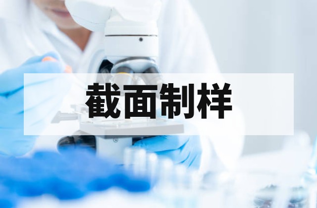 氩离子抛光与CP截面抛光服务 | 高质量SEM样品制备与微观结构解析