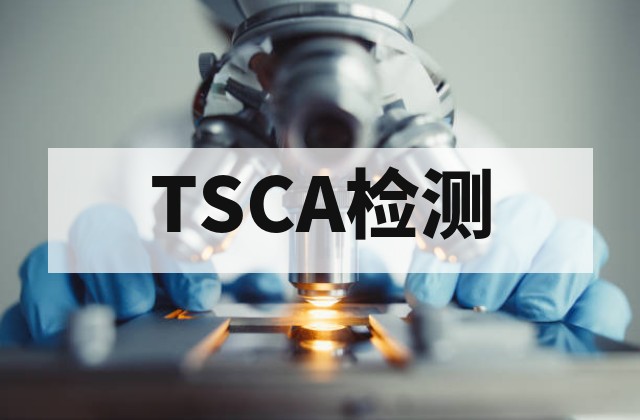 TSCA五项有害物质检测全面解析与合规指南