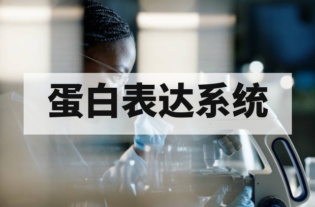 重组蛋白表达纯化服务全解析：原核、酵母、昆虫与哺乳细胞系统选型指南